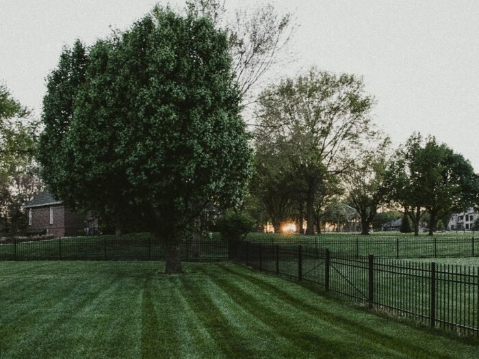 Commercial lawn mown to a clean, consistent line